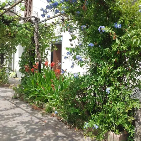 Casa Apartment